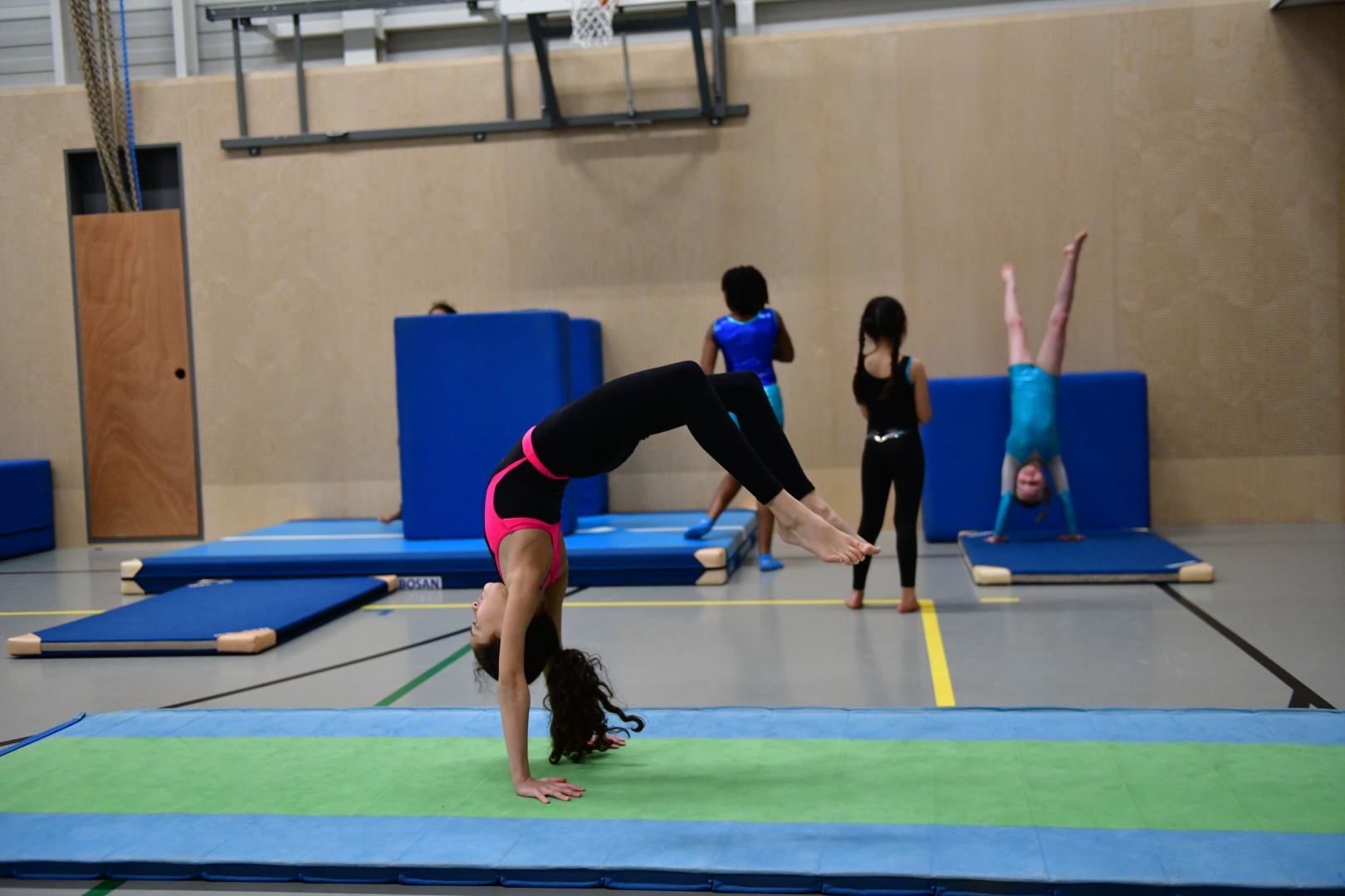 Recreatief turnen (1LJ, 2LJ, 3LJ) (24-1)